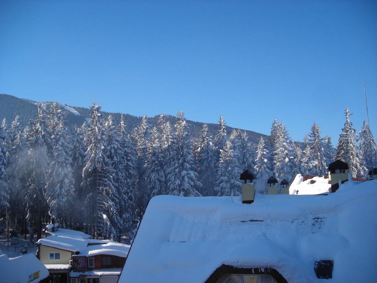 Iglika 2 Top Floor Apartment Borovets Bagian luar foto