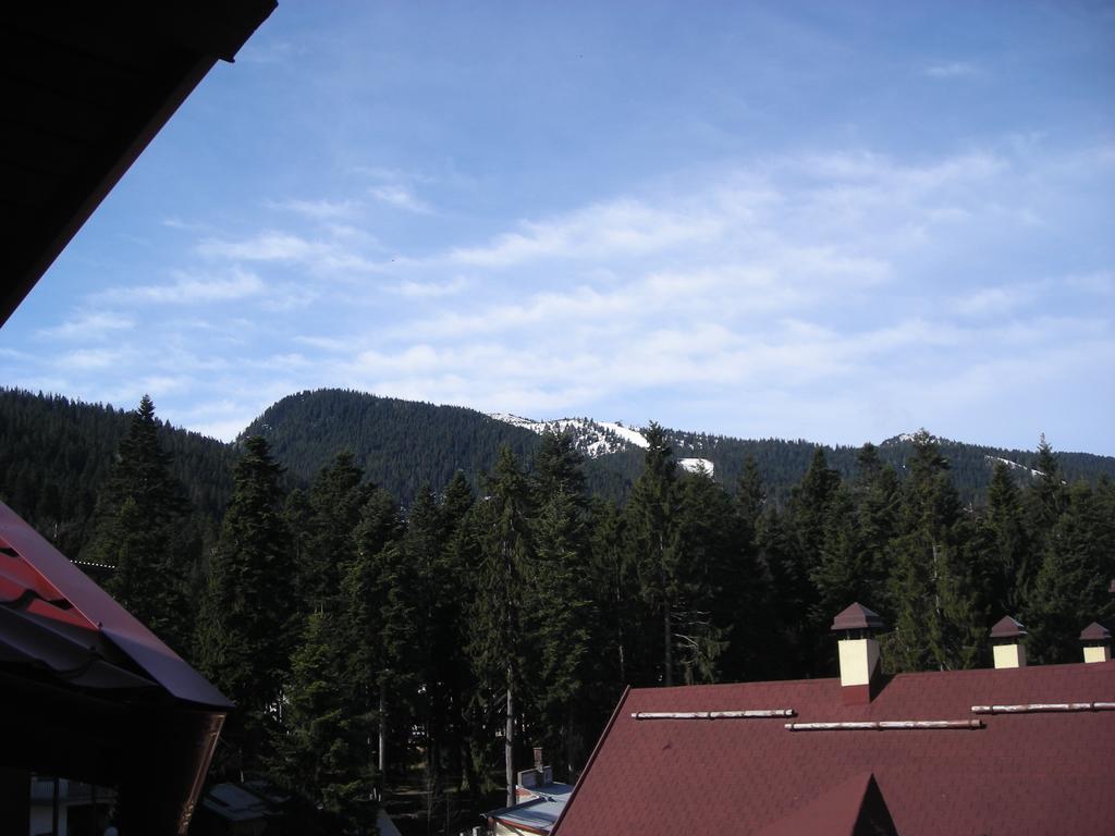 Iglika 2 Top Floor Apartment Borovets Ruang foto